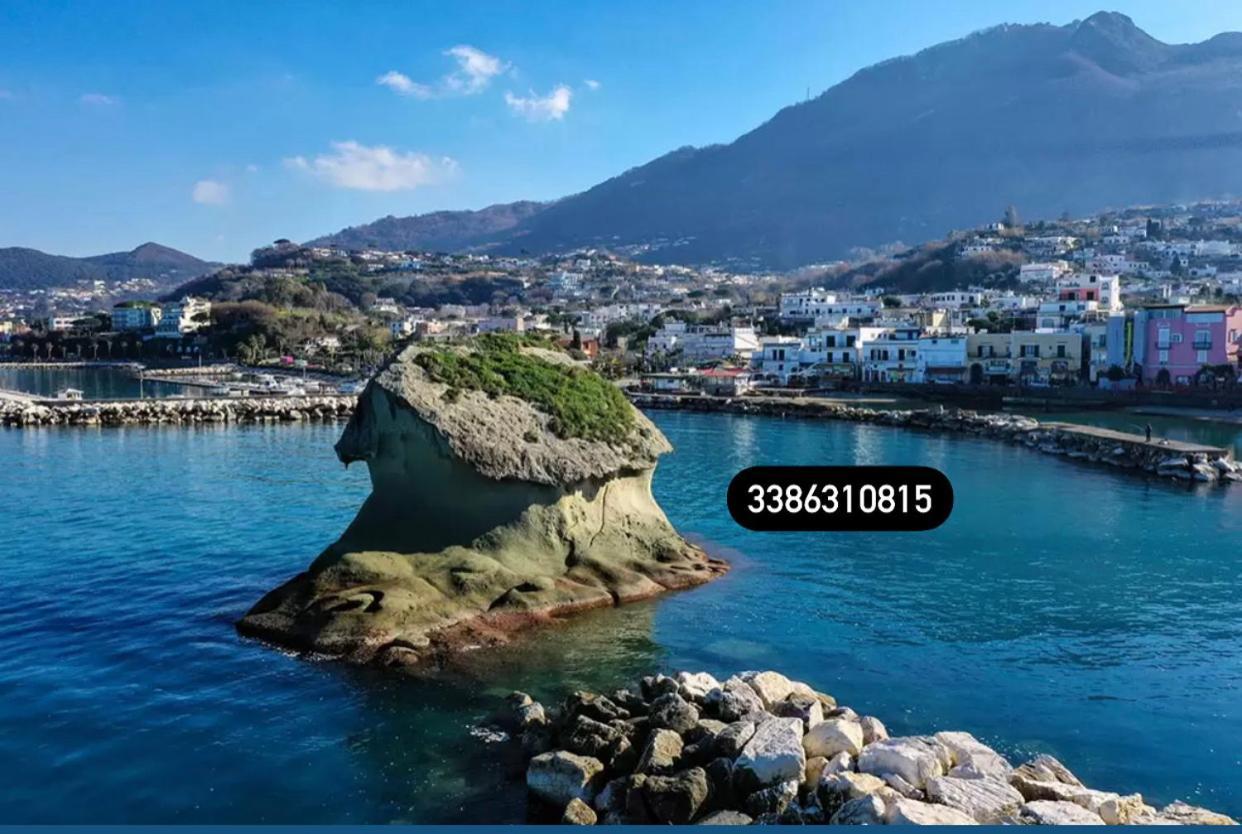 Zaras 11 Apartment Lacco Ameno  Bagian luar foto